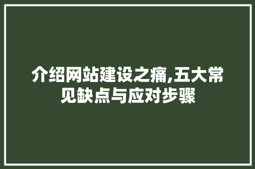 介绍网站建设之痛,五大常见缺点与应对步骤 介绍网站建设之痛,五大常见缺点与应对步骤 百度SEO
