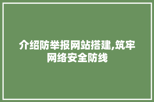 介绍防举报网站搭建,筑牢网络安全防线