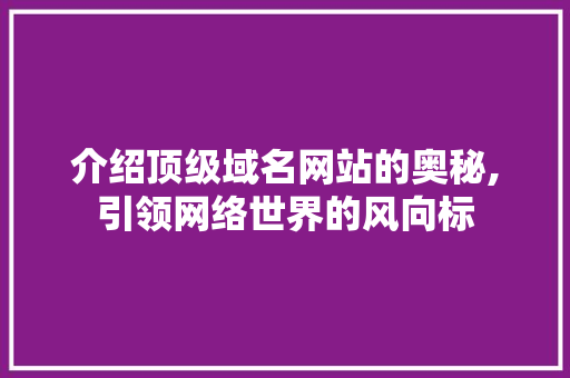 介绍顶级域名网站的奥秘,引领网络世界的风向标 介绍顶级域名网站的奥秘,引领网络世界的风向标 网站建设公司