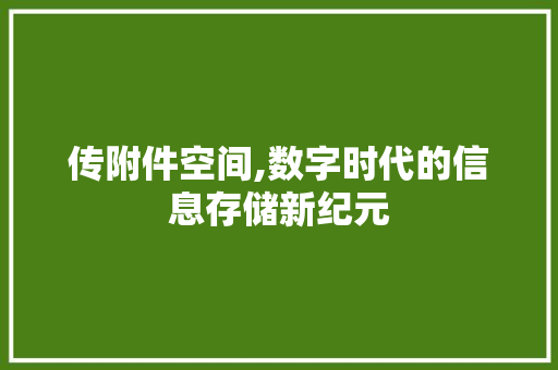 传附件空间,数字时代的信息存储新纪元 传附件空间,数字时代的信息存储新纪元 神马SEO