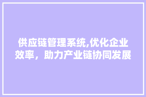 供应链管理系统,优化企业效率，助力产业链协同发展 供应链管理系统,优化企业效率，助力产业链协同发展 SEO关键词