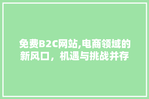 免费B2C网站,电商领域的新风口，机遇与挑战并存 免费B2C网站,电商领域的新风口，机遇与挑战并存 网站建设公司