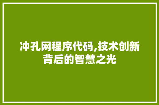 冲孔网程序代码,技术创新背后的智慧之光 冲孔网程序代码,技术创新背后的智慧之光 SEO关键词