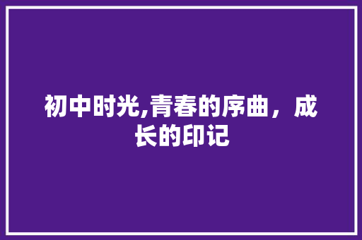 初中时光,青春的序曲，成长的印记 初中时光,青春的序曲，成长的印记 网站建设公司