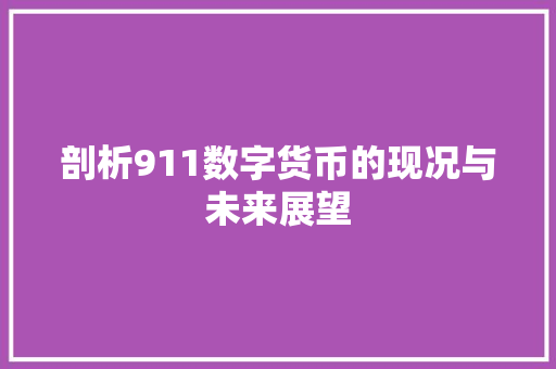 剖析911数字货币的现况与未来展望 剖析911数字货币的现况与未来展望 SEO关键词