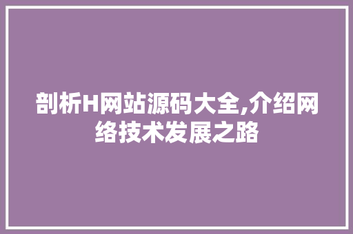 剖析H网站源码大全,介绍网络技术发展之路