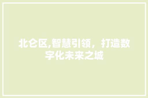 北仑区,智慧引领，打造数字化未来之城 北仑区,智慧引领，打造数字化未来之城 百度SEO
