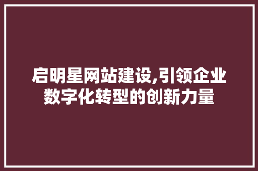 启明星网站建设,引领企业数字化转型的创新力量 启明星网站建设,引领企业数字化转型的创新力量 SEO关键词