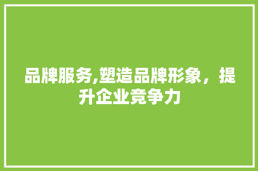 品牌服务,塑造品牌形象，提升企业竞争力 品牌服务,塑造品牌形象，提升企业竞争力 网站建设公司