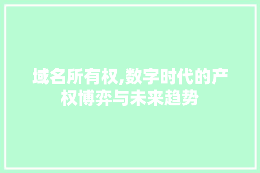 域名所有权,数字时代的产权博弈与未来趋势 域名所有权,数字时代的产权博弈与未来趋势 百度SEO