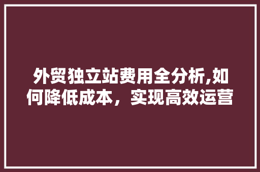 外贸独立站费用全分析,如何降低成本，实现高效运营 外贸独立站费用全分析,如何降低成本，实现高效运营 网站建设公司