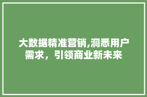 大数据精准营销,洞悉用户需求，引领商业新未来 大数据精准营销,洞悉用户需求，引领商业新未来 神马SEO