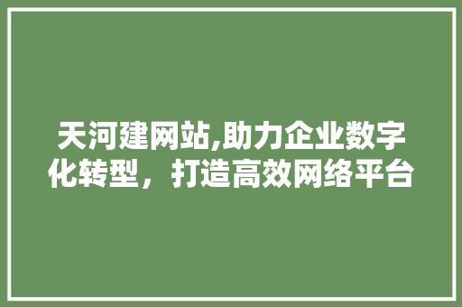 天河建网站,助力企业数字化转型，打造高效网络平台 天河建网站,助力企业数字化转型，打造高效网络平台 SEO关键词