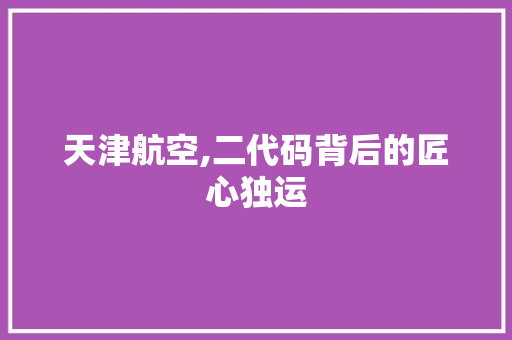 天津航空,二代码背后的匠心独运 天津航空,二代码背后的匠心独运 神马SEO