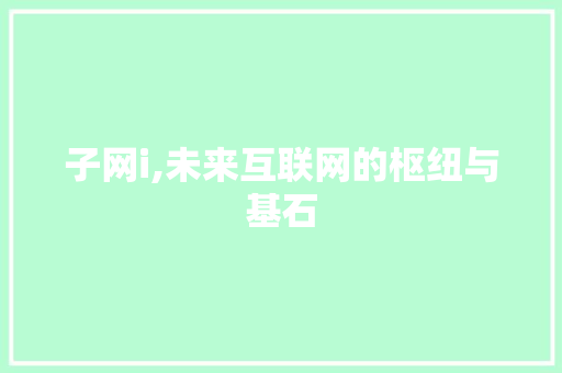 子网i,未来互联网的枢纽与基石