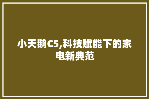 小天鹅C5,科技赋能下的家电新典范