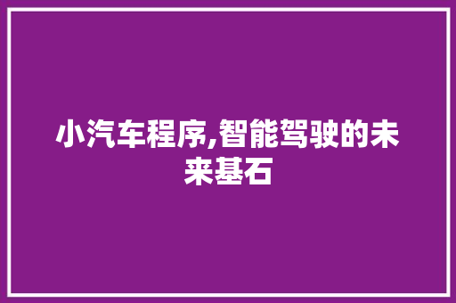 小汽车程序,智能驾驶的未来基石 小汽车程序,智能驾驶的未来基石 网站建设公司