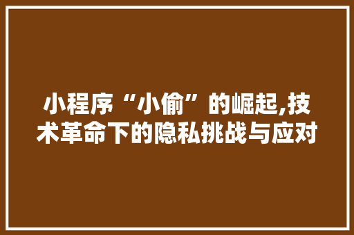 小程序“小偷”的崛起,技术革命下的隐私挑战与应对之路