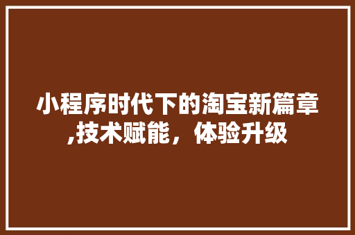 小程序时代下的淘宝新篇章,技术赋能，体验升级 小程序时代下的淘宝新篇章,技术赋能，体验升级 神马SEO
