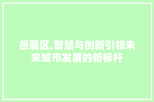 岳麓区,智慧与创新引领未来城市发展的新标杆 岳麓区,智慧与创新引领未来城市发展的新标杆 SEO关键词