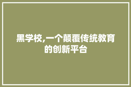 黑学校,一个颠覆传统教育的创新平台 黑学校,一个颠覆传统教育的创新平台 百度SEO