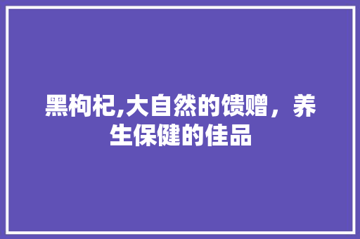 黑枸杞,大自然的馈赠，养生保健的佳品