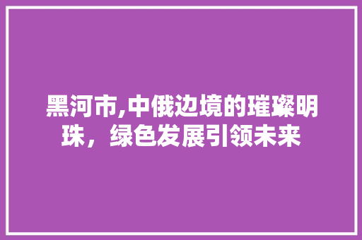 黑河市,中俄边境的璀璨明珠，绿色发展引领未来 黑河市,中俄边境的璀璨明珠，绿色发展引领未来 网站建设公司