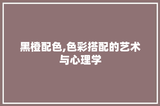黑橙配色,色彩搭配的艺术与心理学 黑橙配色,色彩搭配的艺术与心理学 必应SEO