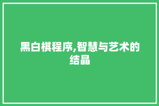黑白棋程序,智慧与艺术的结晶 黑白棋程序,智慧与艺术的结晶 神马SEO