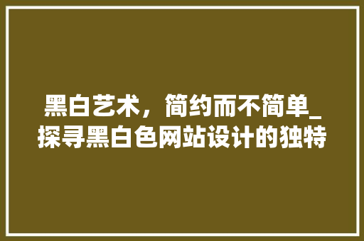 黑白艺术，简约而不简单_探寻黑白色网站设计的独特魅力 黑白艺术，简约而不简单_探寻黑白色网站设计的独特魅力 SEO关键词