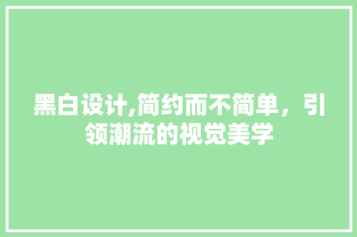 黑白设计,简约而不简单，引领潮流的视觉美学 黑白设计,简约而不简单，引领潮流的视觉美学 百度SEO