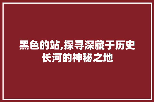 黑色的站,探寻深藏于历史长河的神秘之地 黑色的站,探寻深藏于历史长河的神秘之地 百度SEO