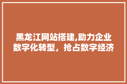 黑龙江网站搭建,助力企业数字化转型，抢占数字经济高地 黑龙江网站搭建,助力企业数字化转型，抢占数字经济高地 神马SEO
