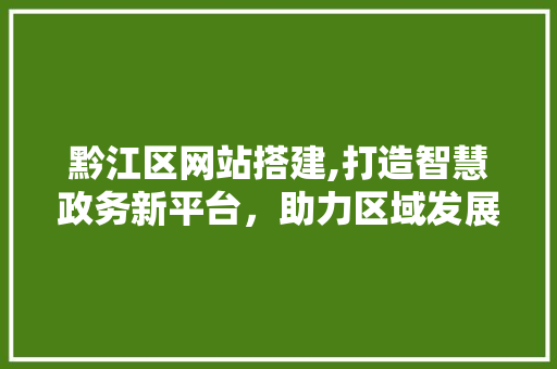 黔江区网站搭建,打造智慧政务新平台，助力区域发展 黔江区网站搭建,打造智慧政务新平台，助力区域发展 必应SEO
