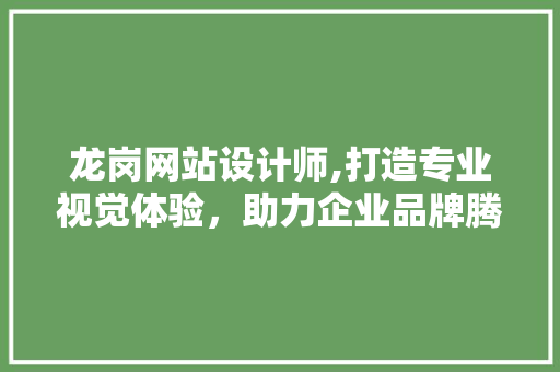龙岗网站设计师,打造专业视觉体验，助力企业品牌腾飞 龙岗网站设计师,打造专业视觉体验，助力企业品牌腾飞 网站建设公司