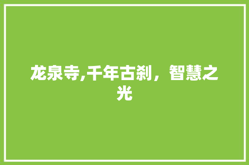 龙泉寺,千年古刹，智慧之光 龙泉寺,千年古刹，智慧之光 网站建设公司