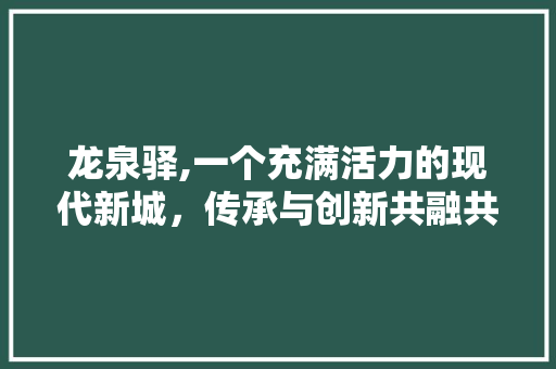 龙泉驿,一个充满活力的现代新城，传承与创新共融共生 龙泉驿,一个充满活力的现代新城，传承与创新共融共生 搜狗SEO
