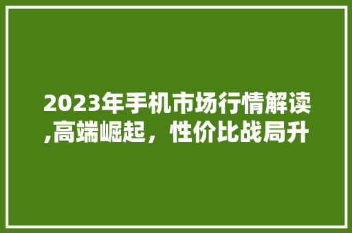 2023年手机市场行情解读,高端崛起，性价比战局升级 2023年手机市场行情解读,高端崛起，性价比战局升级 必应SEO