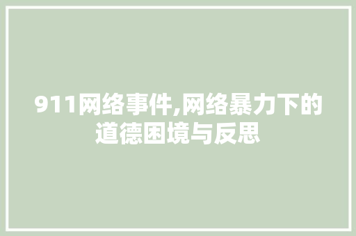 911网络事件,网络暴力下的道德困境与反思 911网络事件,网络暴力下的道德困境与反思 神马SEO