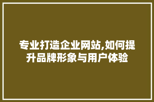 专业打造企业网站,如何提升品牌形象与用户体验