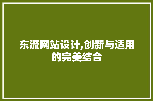 东流网站设计,创新与适用的完美结合