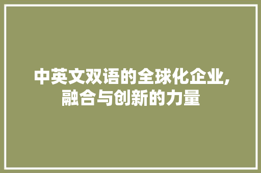 中英文双语的全球化企业,融合与创新的力量 中英文双语的全球化企业,融合与创新的力量 神马SEO