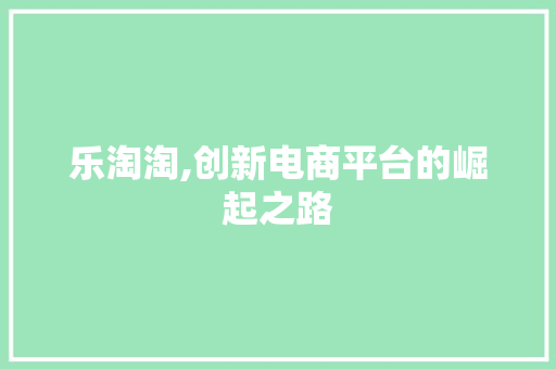 乐淘淘,创新电商平台的崛起之路 乐淘淘,创新电商平台的崛起之路 网站建设公司