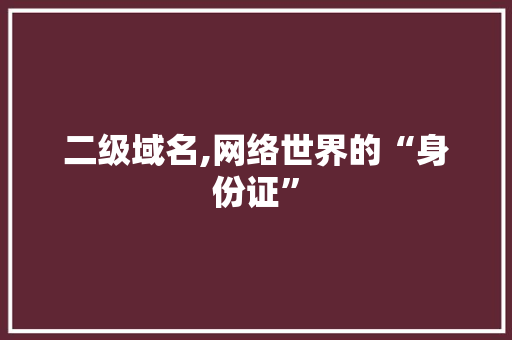 二级域名,网络世界的“身份证” 二级域名,网络世界的“身份证” 网站建设公司