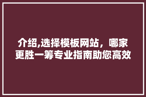 介绍,选择模板网站，哪家更胜一筹专业指南助您高效搭建网站平台 介绍,选择模板网站，哪家更胜一筹专业指南助您高效搭建网站平台 百度SEO