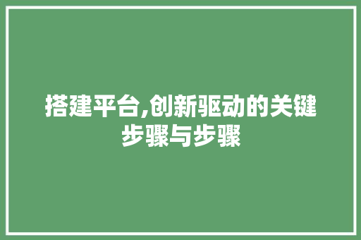 搭建平台,创新驱动的关键步骤与步骤 搭建平台,创新驱动的关键步骤与步骤 百度SEO