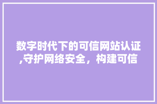 数字时代下的可信网站认证,守护网络安全，构建可信环境 数字时代下的可信网站认证,守护网络安全，构建可信环境 网站建设公司