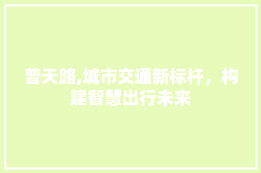 普天路,城市交通新标杆，构建智慧出行未来 普天路,城市交通新标杆，构建智慧出行未来 神马SEO