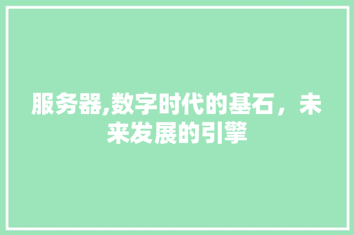 服务器,数字时代的基石，未来发展的引擎 服务器,数字时代的基石，未来发展的引擎 必应SEO