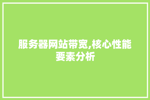 服务器网站带宽,核心性能要素分析 服务器网站带宽,核心性能要素分析 神马SEO